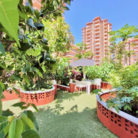Magnolia House Appartement *