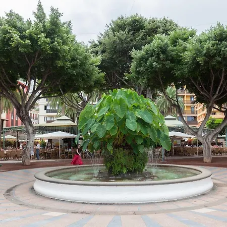 アパート Magnolia House