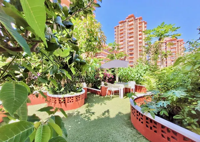 Magnolia House Appartement *