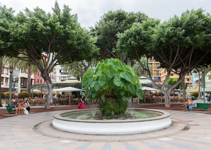 Daire Magnolia House